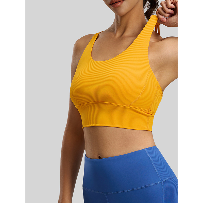 2026 New Women Ribbed High Imp - Sports Bra High Impact 评论和价格